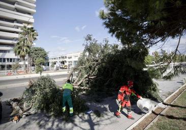 Second death investigated in Andalucía as a result of storm Bernard