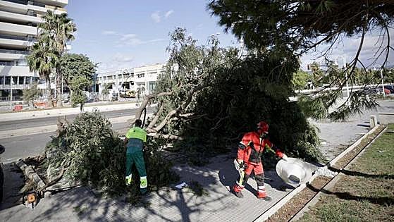 Second death investigated in Andalucía as a result of storm Bernard