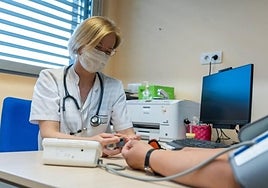A doctor attends to a patient at a health centre in Álava.