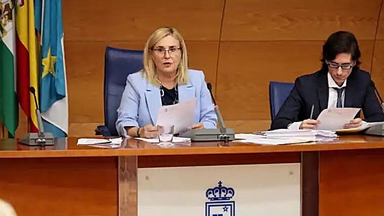 'Animal friendly' Fuengirola links with association that aims to promote bullfighting