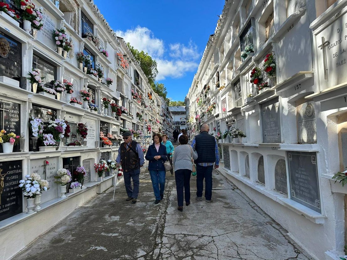 In pictures... people in Malaga pay their respects on All Saints' Day in the province's cemeteries