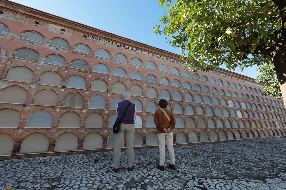 In pictures... people in Malaga pay their respects on All Saints' Day in the province's cemeteries