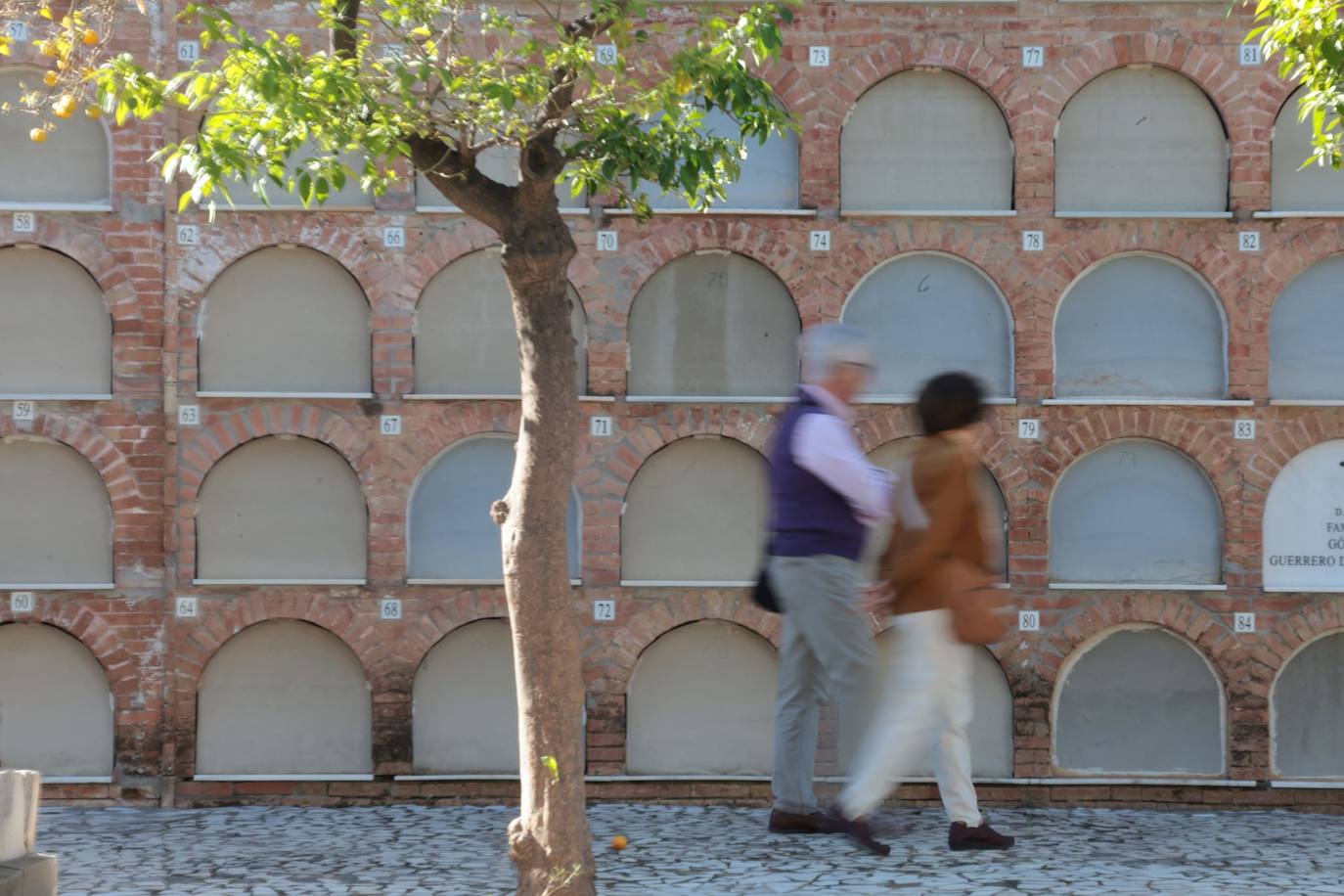 In pictures... people in Malaga pay their respects on All Saints' Day in the province's cemeteries