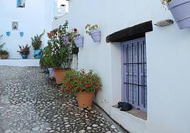In addition to the colourful flowerpots and window frames, small sculptures of cats can be seen dotted around the pueblo.