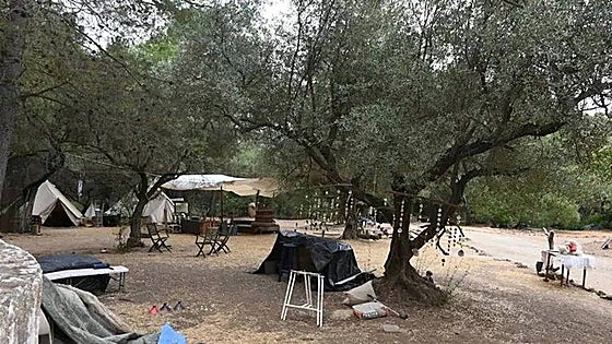 Marbella land expropriation saga draws to an end with plans for new urban park in the pipeline