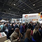 Malaga province and Costa del Sol hotels set to end the year on a record high