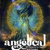 Malaga's botanical garden to take visitors on a 'magical journey' through a kingdom of angels this Christmas