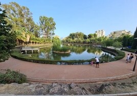 Benalmádena council prevented from watering green areas or washing streets for at least two months