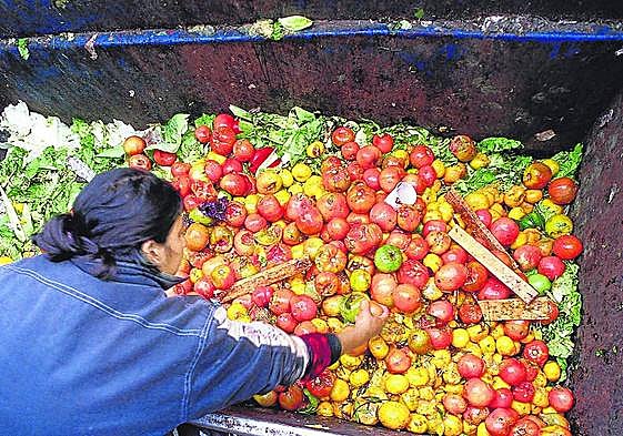 The queue for the bins