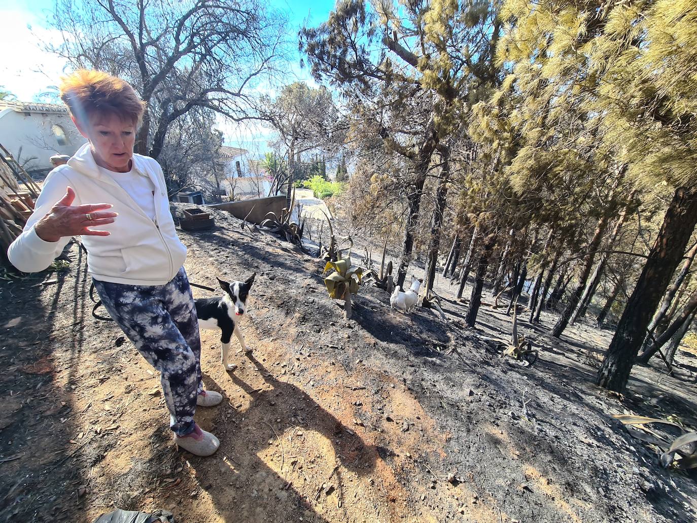 The horror of the Mijas wildfire, in pictures