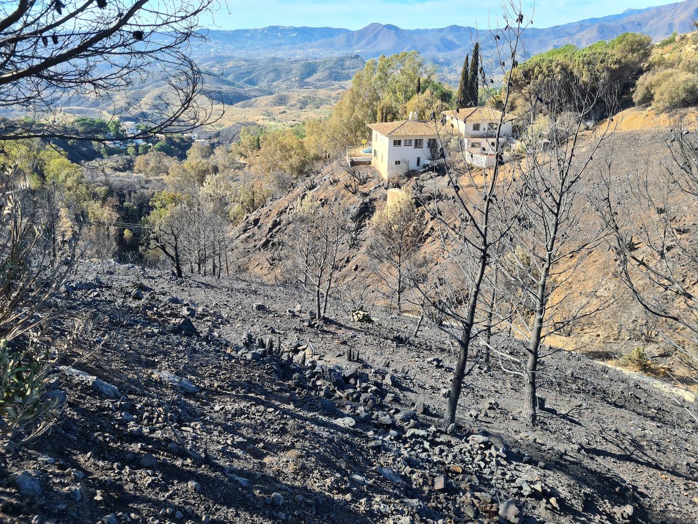The horror of the Mijas wildfire, in pictures