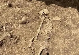 Number of human skeletons unearthed on site of future car park in Ronda rises to 300