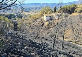 Infoca declares the Mijas wildfire 'extinguished'