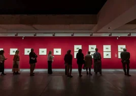 The exhibition is on until 10 March 2024 at the Mirador del Carmen in Estepona.