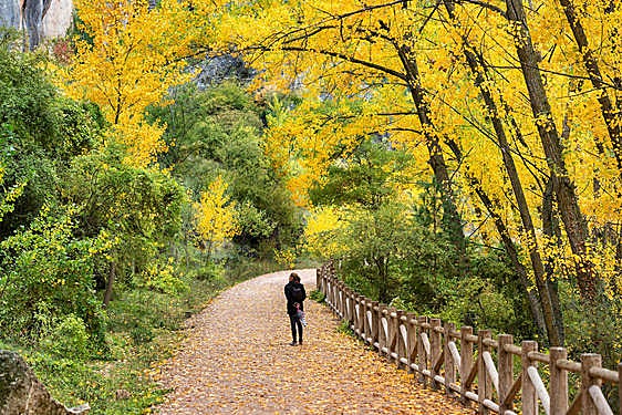 Cuenca: a great secret hidden in Spain