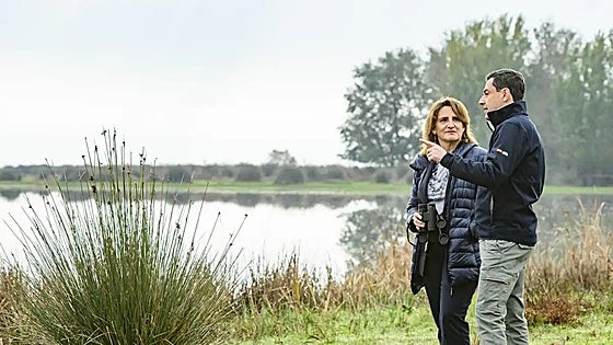 Spain's national government and Junta de Andalucía strike 1.4 billion deal to help protect endangered Doñana wetlands