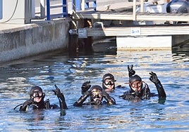 Divers during last year's underwater ecological day.