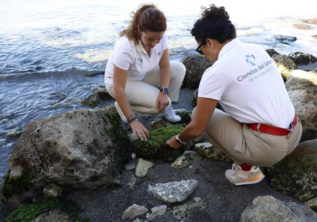 The scientists of the Catedrá del Mar have been working in the area for nearly a year.