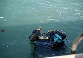 One of the divers taking part in the day's activities pulls a bottle from the seabed.