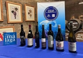 Malaga wine awards: province's top drops for 2023 unveiled