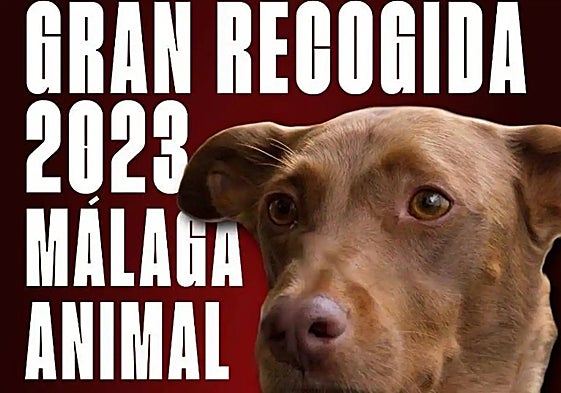 Poster announcing the first Gran Recogida for animals in protection centres and shelters.