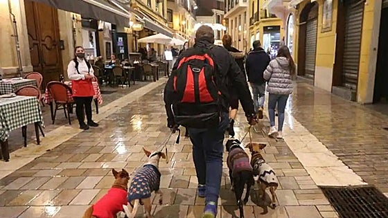 Spain's 'best friends' programme offers free veterinary help to those in need, and this is how to apply