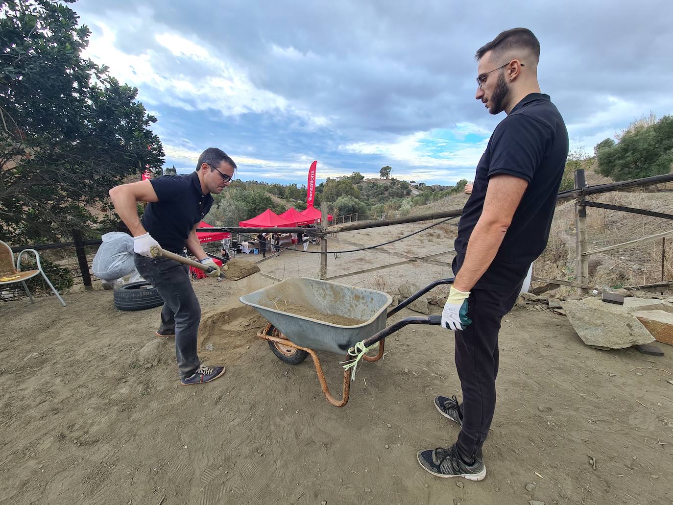 A group of employees from a tech AI company help out at a donkey sanctuary