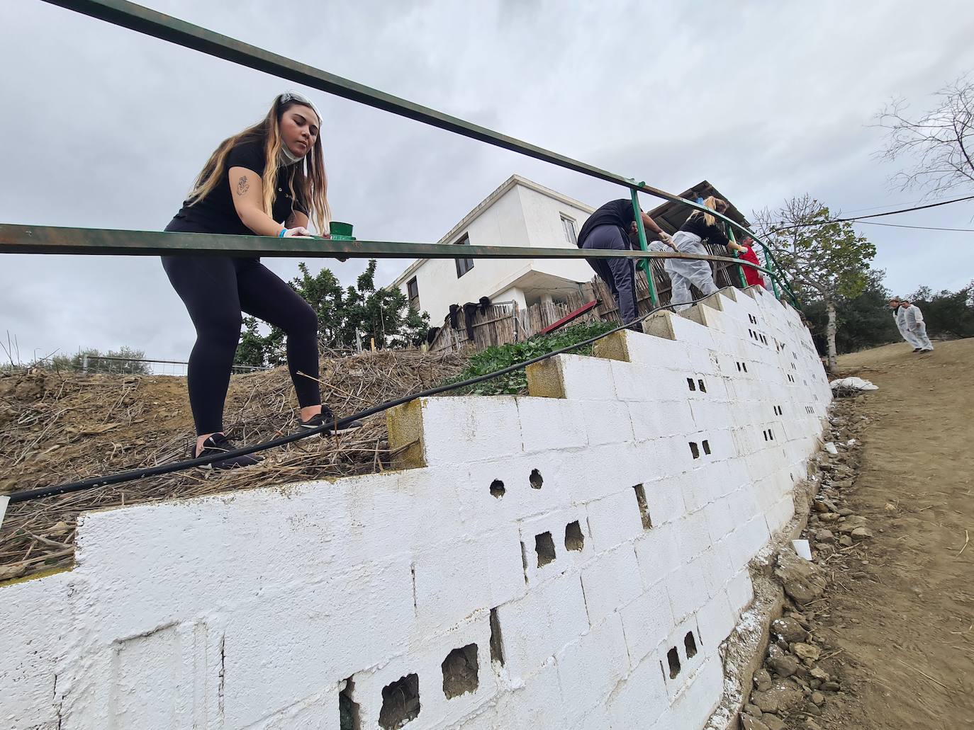 A group of employees from a tech AI company help out at a donkey sanctuary