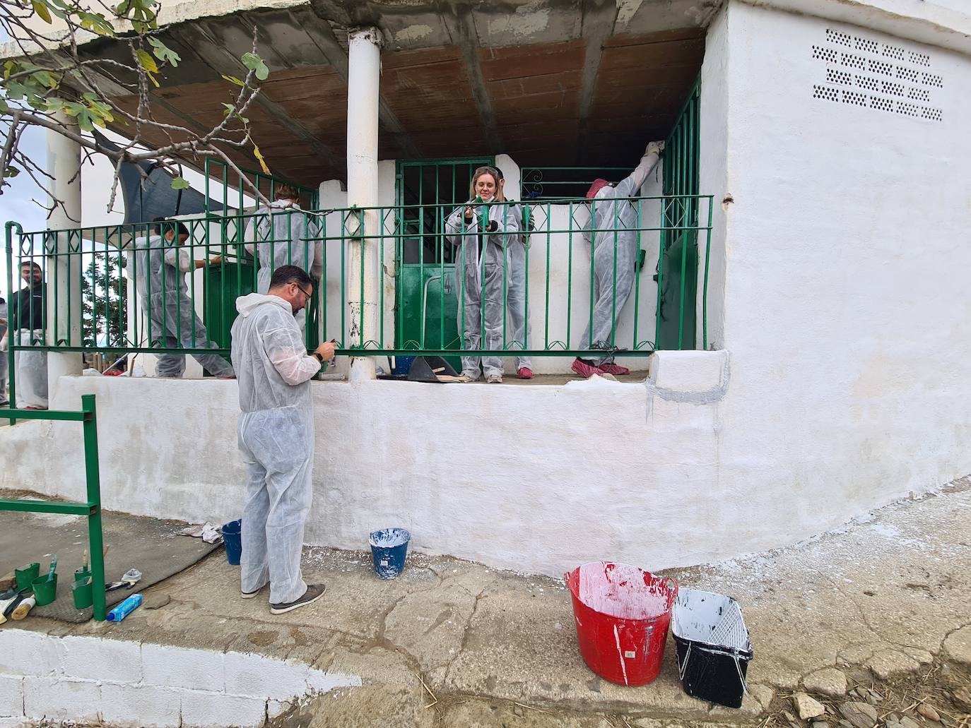 A group of employees from a tech AI company help out at a donkey sanctuary