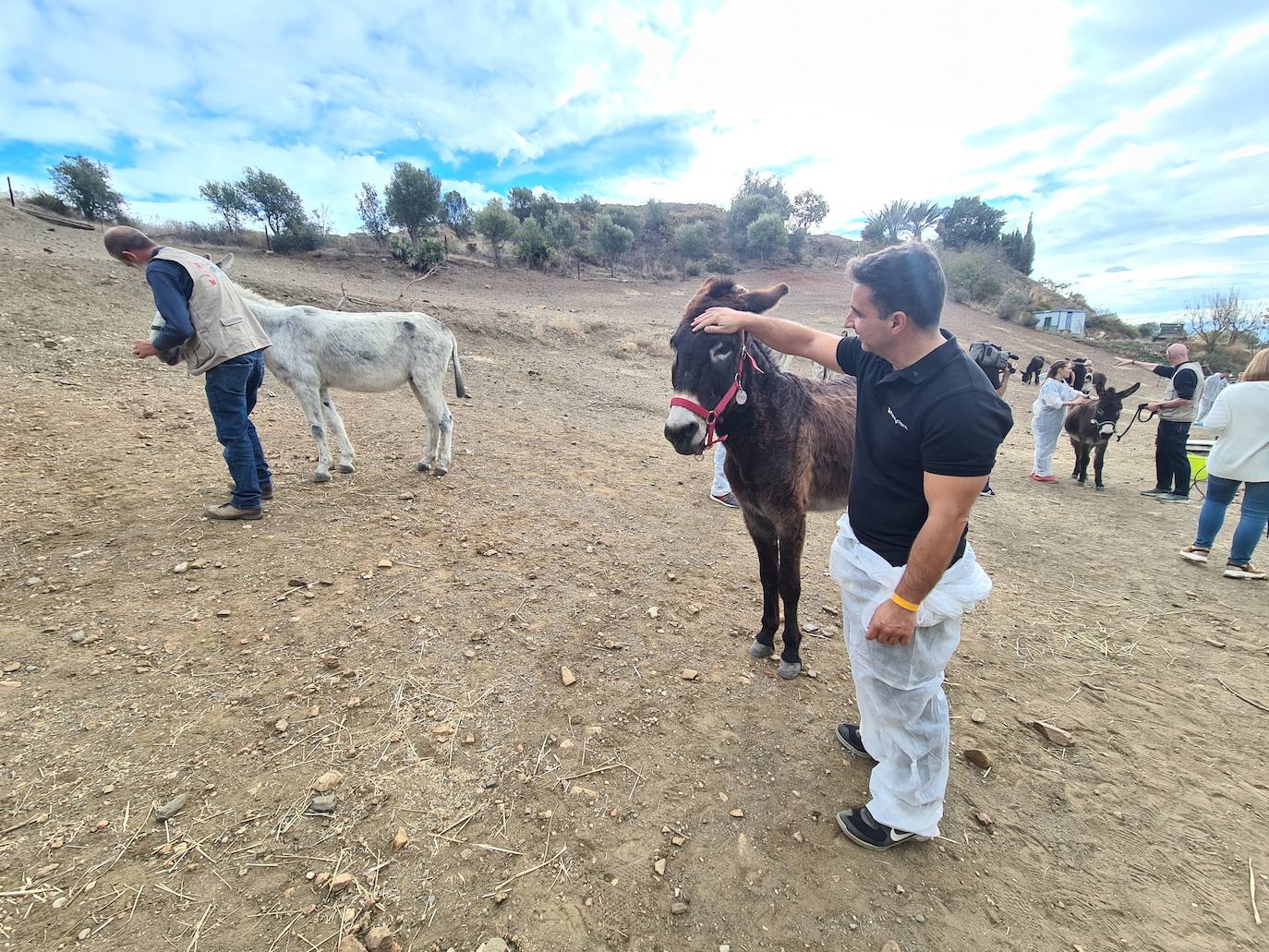 A group of employees from a tech AI company help out at a donkey sanctuary