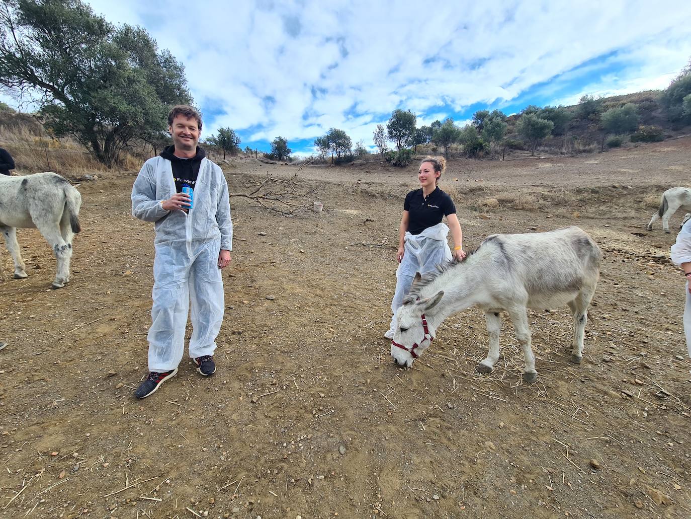 A group of employees from a tech AI company help out at a donkey sanctuary