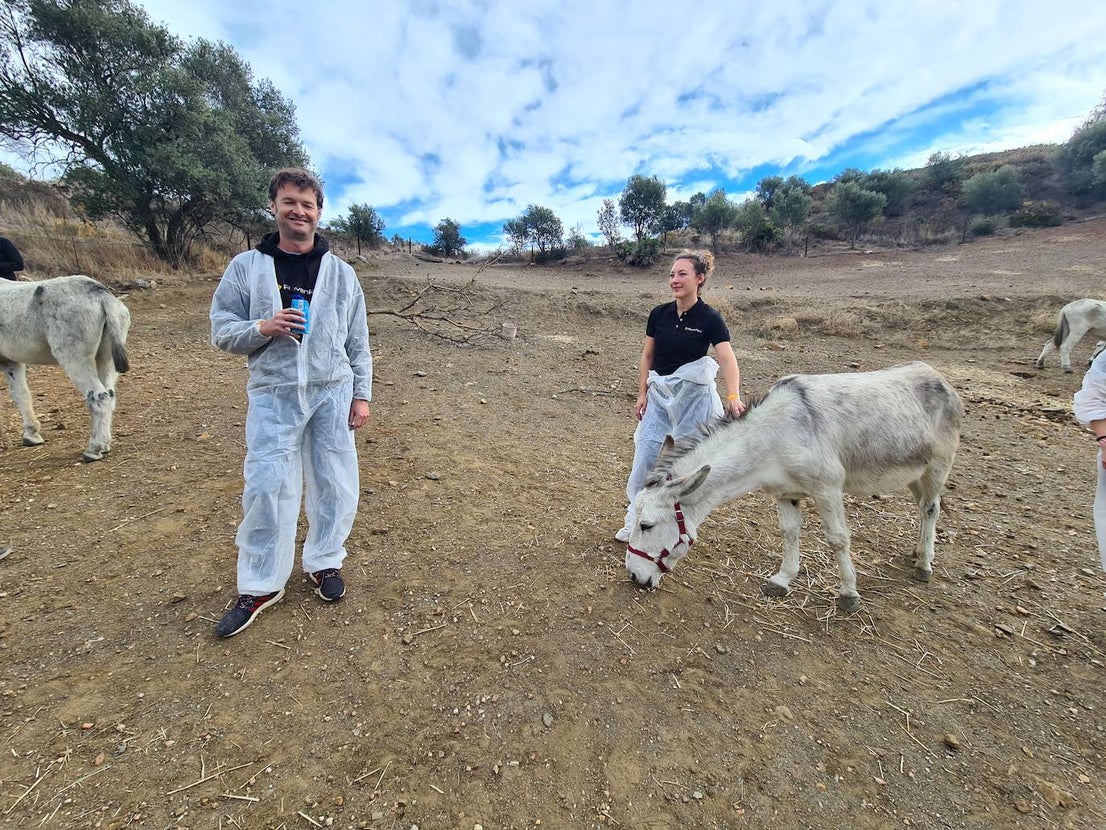 A group of employees from a tech AI company help out at a donkey sanctuary