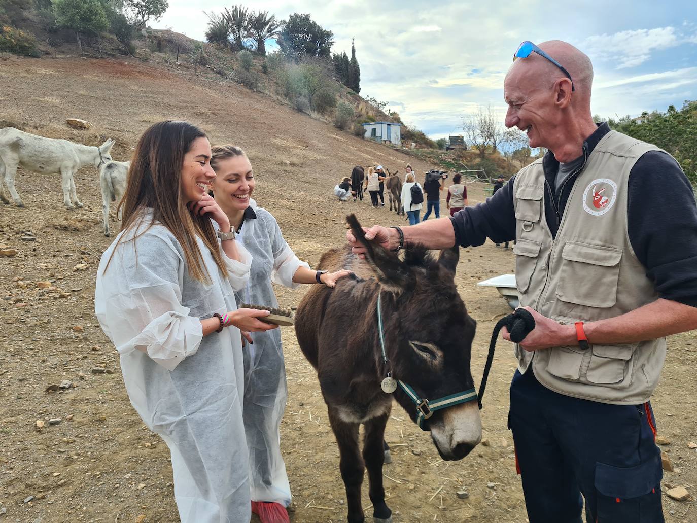 A group of employees from a tech AI company help out at a donkey sanctuary