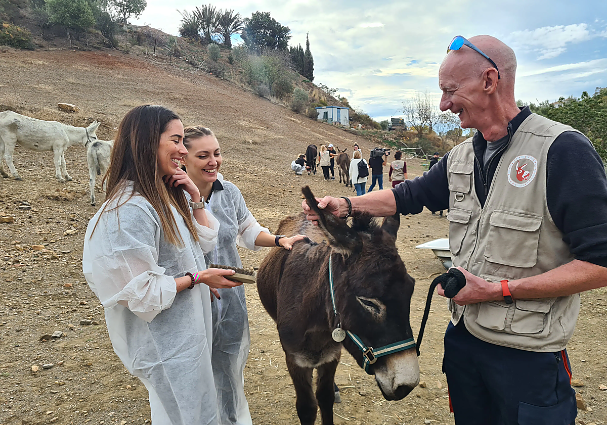 Imagen principal - Tech wizards give back by mucking in for a day at Donkey Dreamland on the Costa