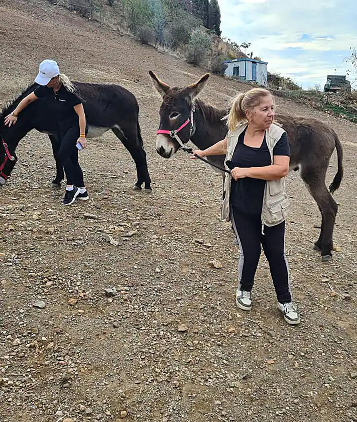Imagen secundaria 2 - Tech wizards give back by mucking in for a day at Donkey Dreamland on the Costa
