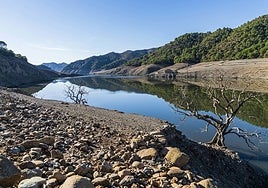 The reservoir of La Concepción, between Marbella and Istán, has already begun to reveal old buildings and ground previously submerged.
