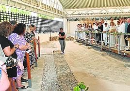 The Roman mosaics at the Río Verde villa in Marbella.