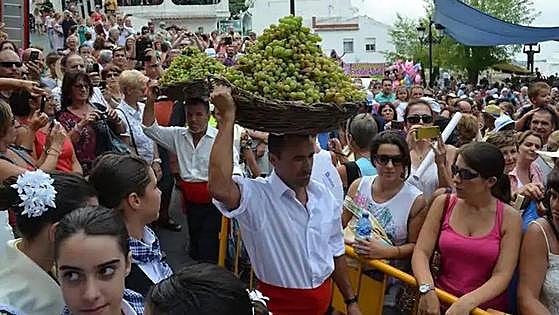 The wines of Andalucía -a reason for celebration