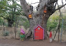 Figures in the Enchanted Forest of Parauta.