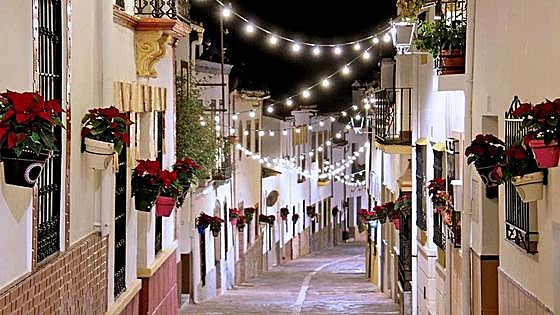 Why do we adorn our homes and streets in Spain with poinsettias at Christmas?