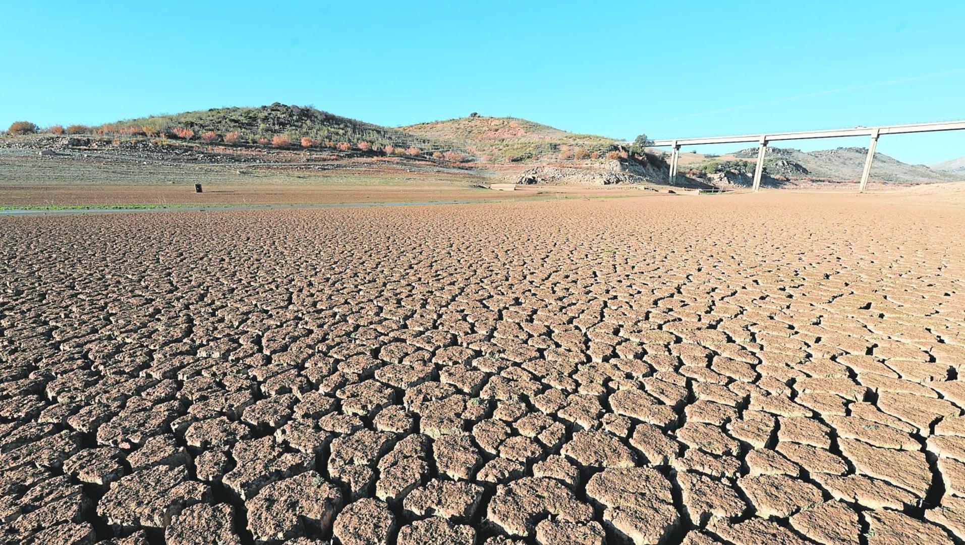 Severe drought and hotter than ever | Sur in English