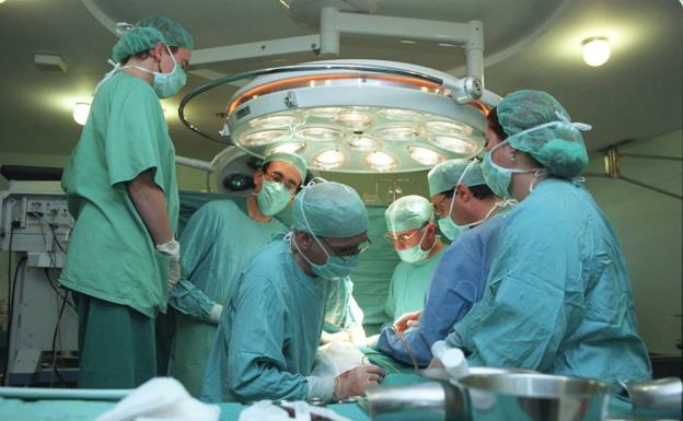 Transplant operations up in Malaga province 