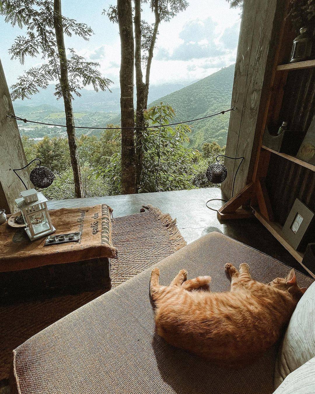 House high in the mountains of San José de Ocoa in the Dominican Republic