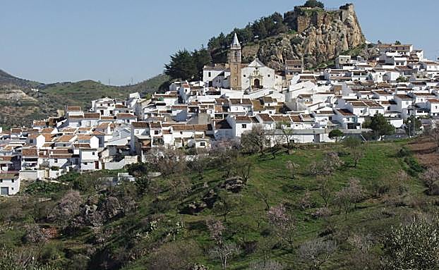 The first flowers of the season can be seen around Ardales.