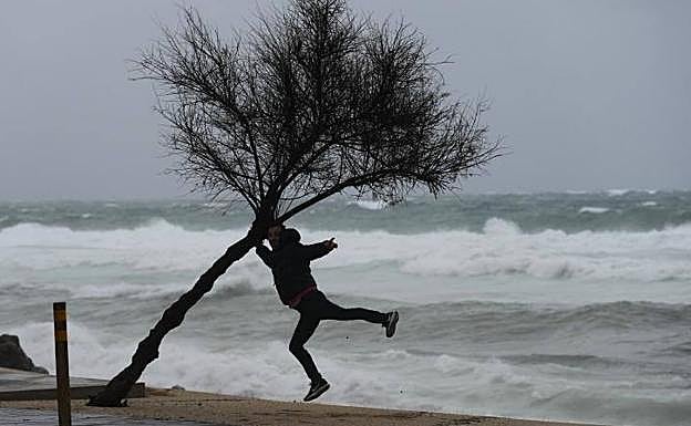 Amber warning on the Costa del Sol for gusts of wind up to 90 kilometres per hour on Friday