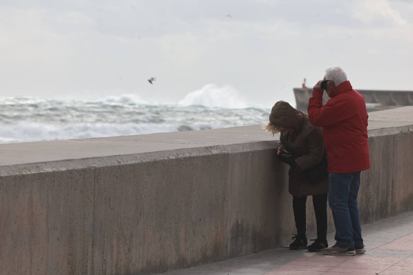 Malaga city recorded the largest volume of incidents in the province