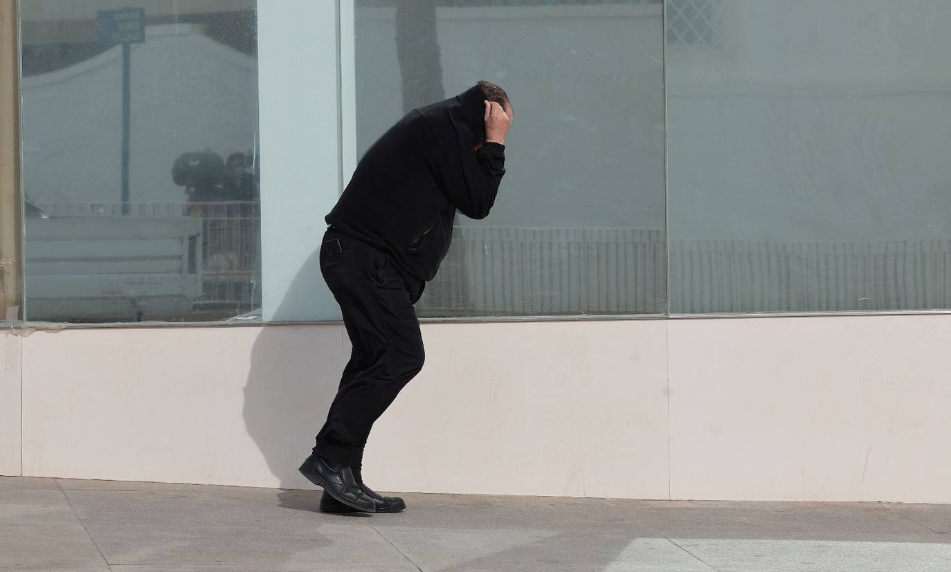 Malaga city recorded the largest volume of incidents in the province