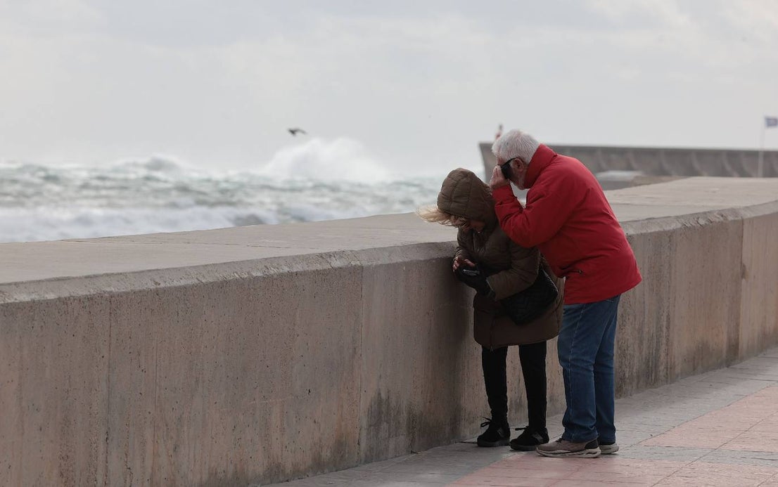Malaga city recorded the largest volume of incidents in the province