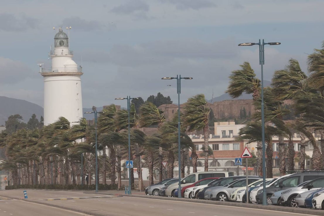 Malaga city recorded the largest volume of incidents in the province