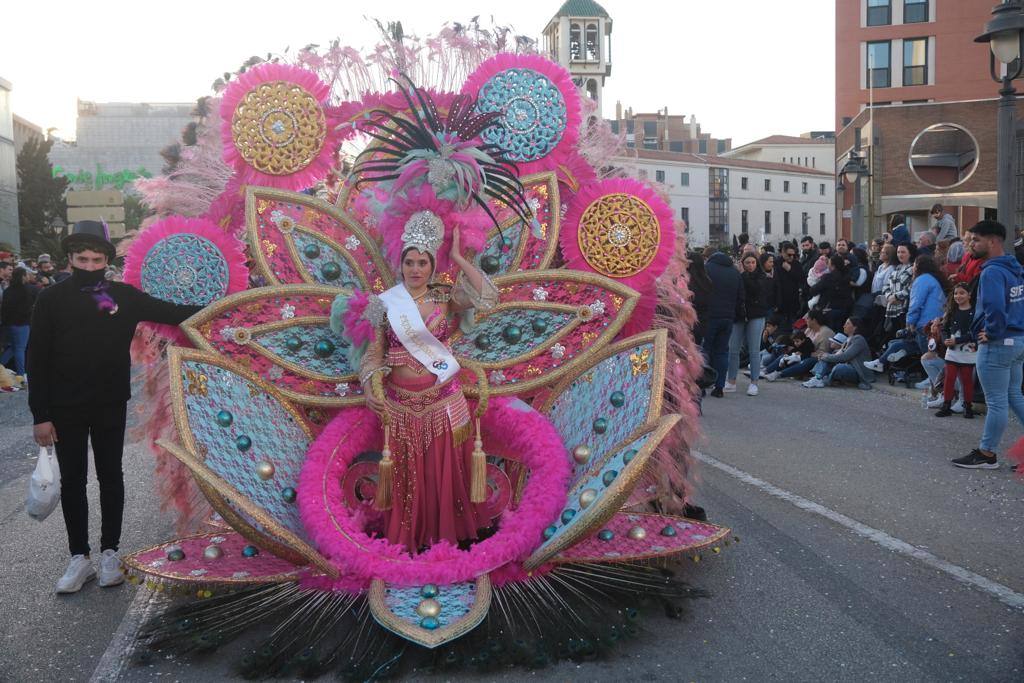 The city's streets were filled with colour for the carnival parade.